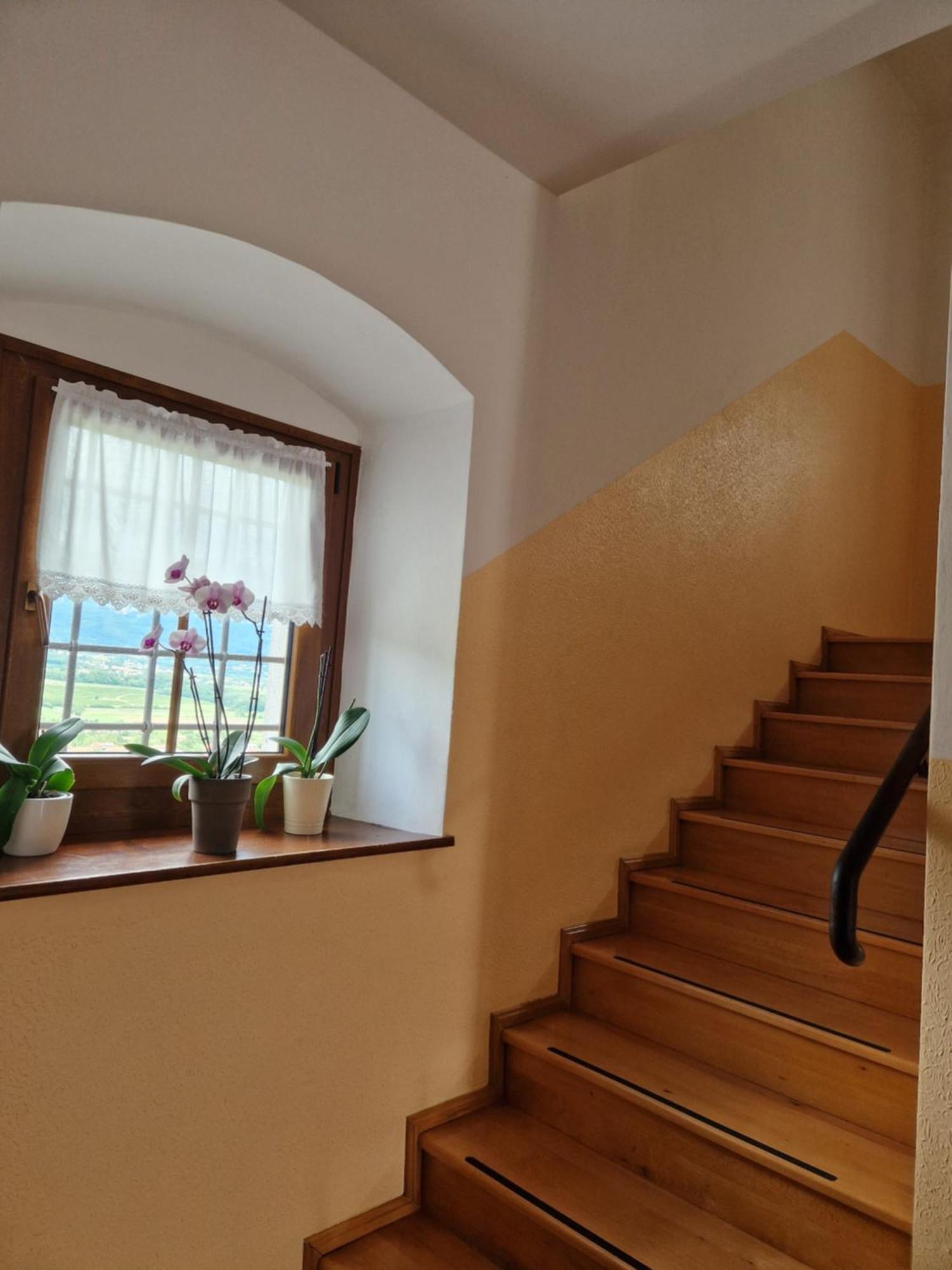 Apartma In Soba Vipavski Kriz Ajdovščina 외부 사진